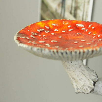 Amanita Shelf